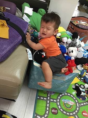 IMG_0540.jpg
