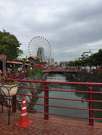 IMG_2214.jpg