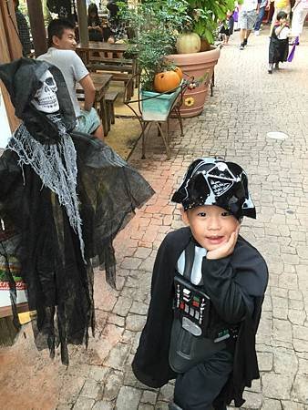 IMG_2254.jpg