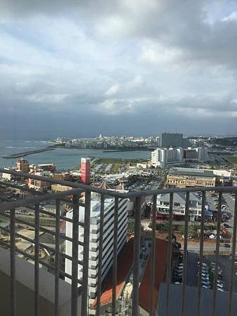 IMG_2425.jpg