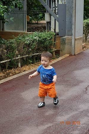 DSC02658.jpg