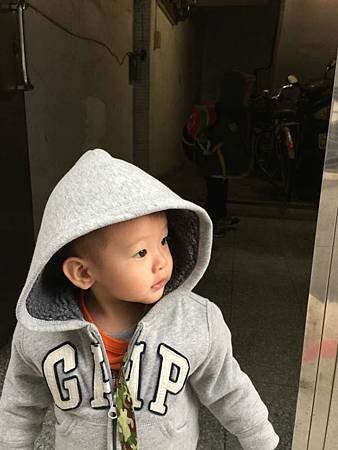 IMG_5249.jpg