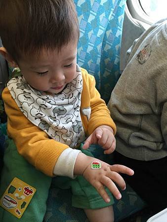 IMG_8379.jpg