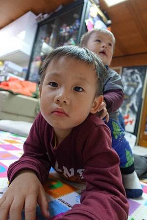DSC04619.jpg