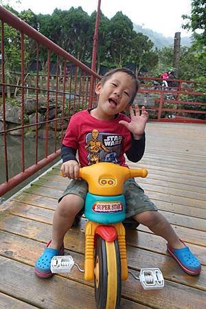 DSC05328.jpg