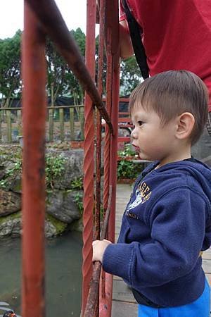 DSC05340.jpg
