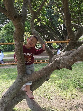 IMG_1260.jpg