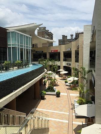 IMG_4231.jpg