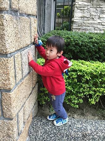 IMG_1915.jpg