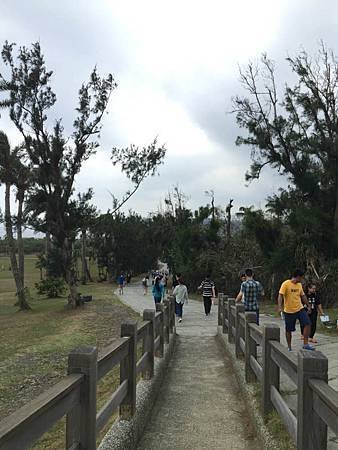 IMG_9577.jpg