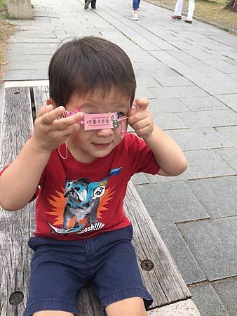 IMG_9585.jpg