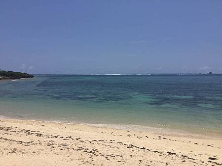 IMG_7116.jpg