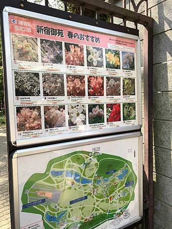 IMG_8582.jpg