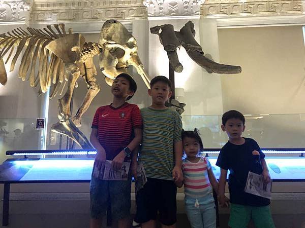 IMG_2978.jpg