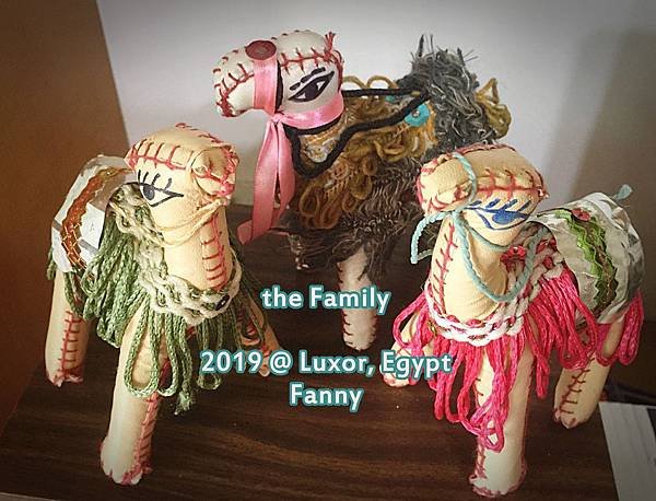 IMG_9166- the Camel Family.JPG