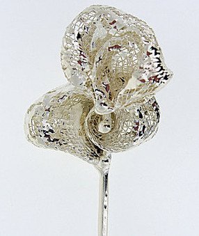 image2.jpg