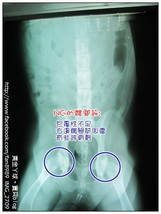 下一張(熱鍵:c)