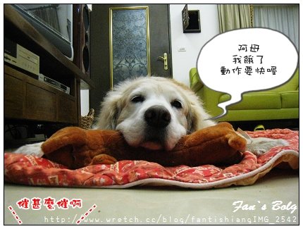 下一張(熱鍵:c)