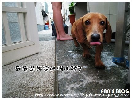 下一張(熱鍵:c)