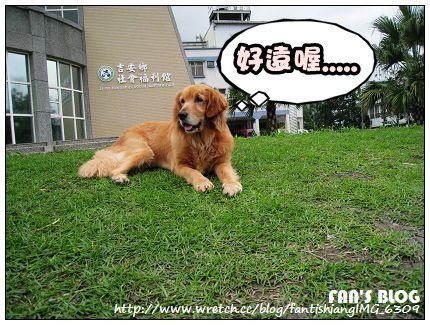 下一張(熱鍵:c)