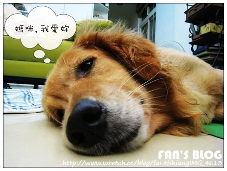 下一張(熱鍵:c)
