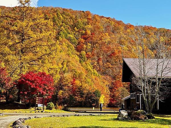 2018年日本東北賞楓自駕遊~行前準備（青森、秋田、仙台、福