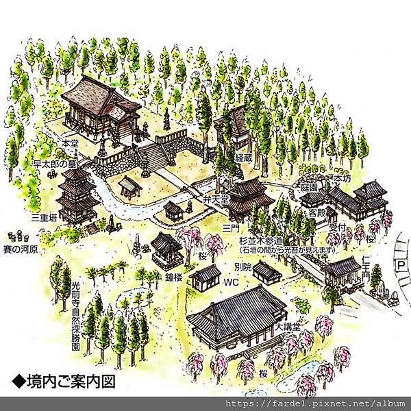 2023日本賞櫻自由行～長野縣光前寺