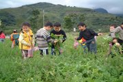 台東縣-親山休閒農場-2