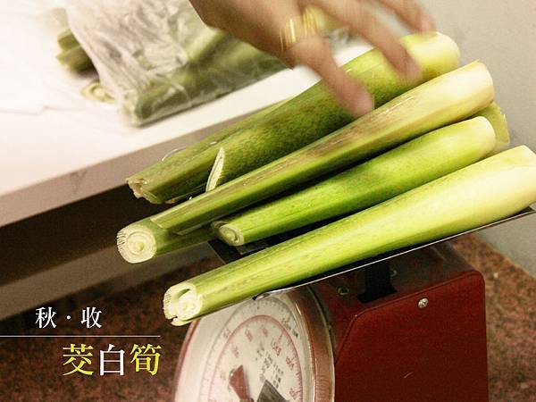 fb茭白筍-01.jpg
