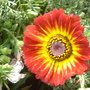 DSC07633.JPG