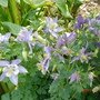 DSC07567.JPG