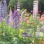 DSC07646.JPG