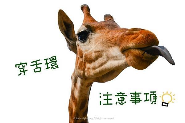 穿舌環注意事項.jpg