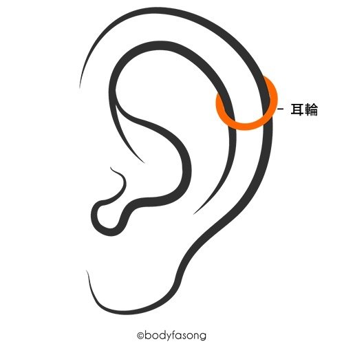 耳洞位置、疼痛度及適合配戴的款式(2024年更新)
