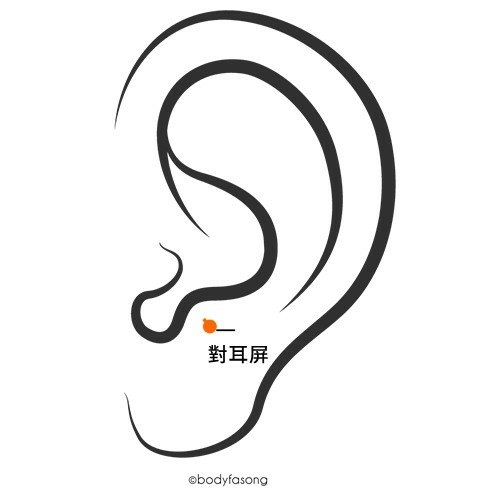 耳洞位置、疼痛度及適合配戴的款式(2024年更新)