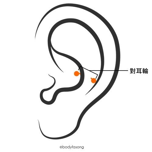 耳洞位置、疼痛度及適合配戴的款式(2024年更新)