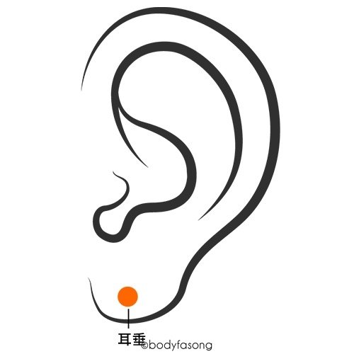 耳洞位置、疼痛度及適合配戴的款式(2024年更新)