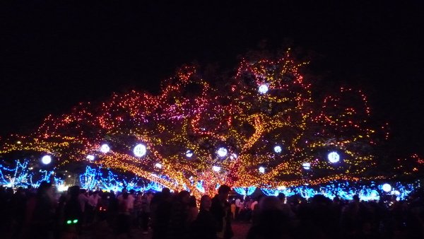P1030251.JPG