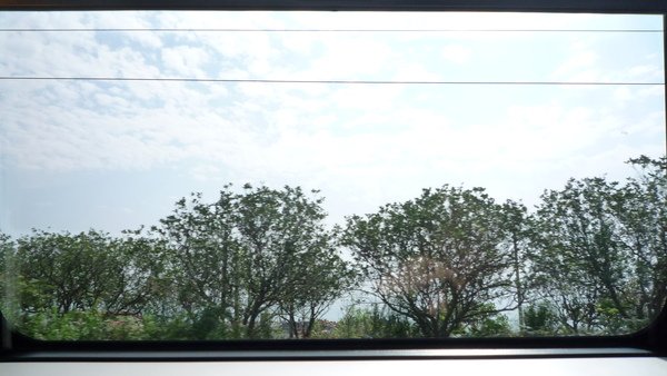 P1030276.JPG