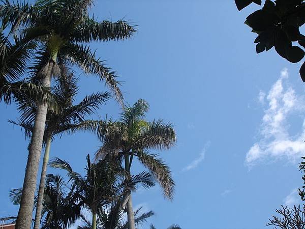 DSC00176.JPG