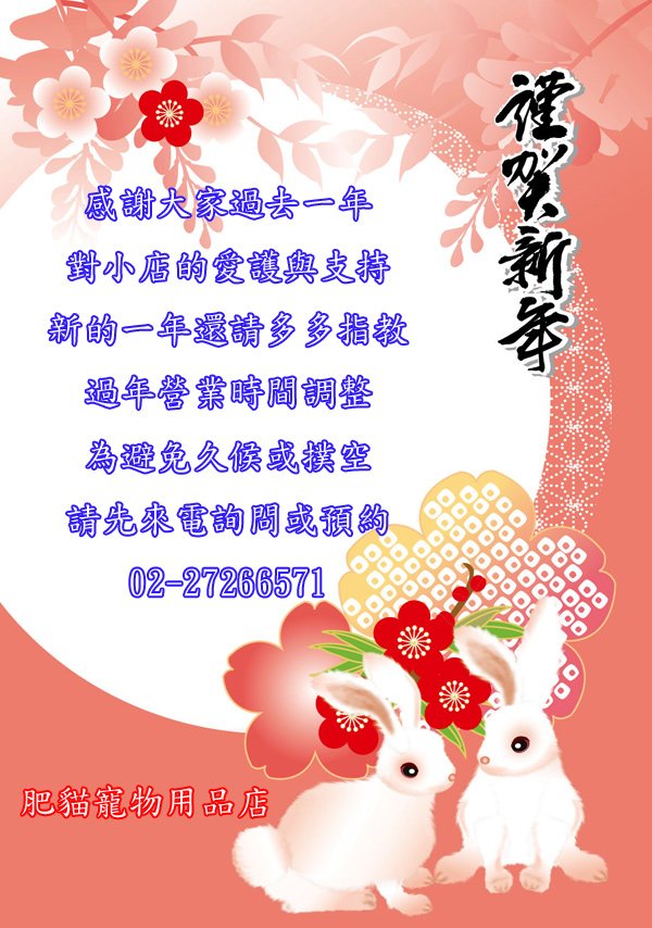 2011年農曆年