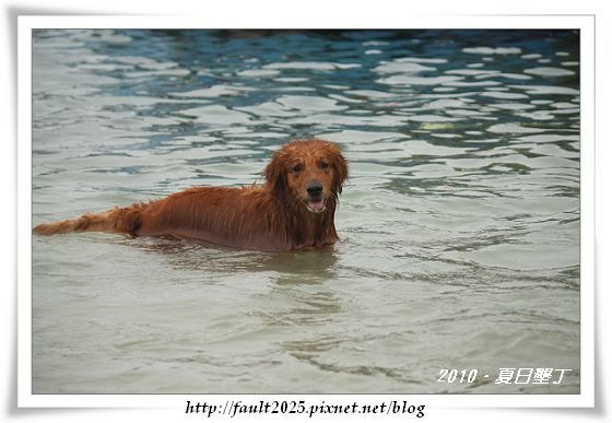 IMG_6824.jpg