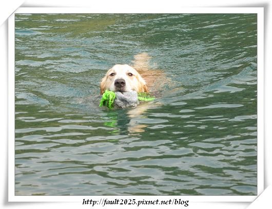IMG_2446.jpg