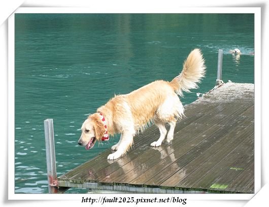 IMG_2459.jpg
