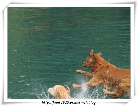 IMG_2466.jpg