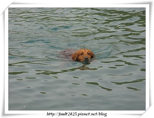 IMG_2476.jpg