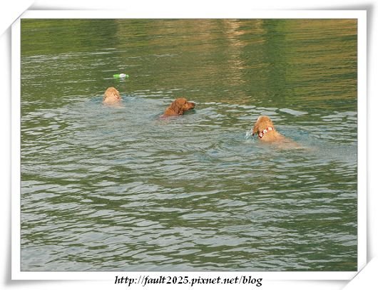 IMG_2480.jpg