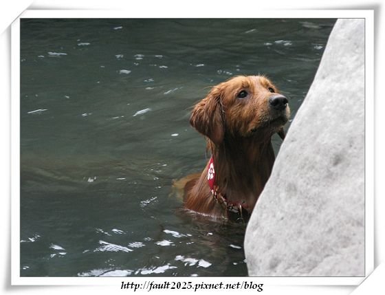 IMG_2062.jpg