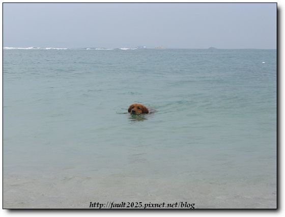 IMG_4605.jpg