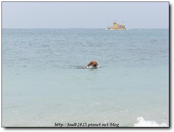 IMG_4617.jpg
